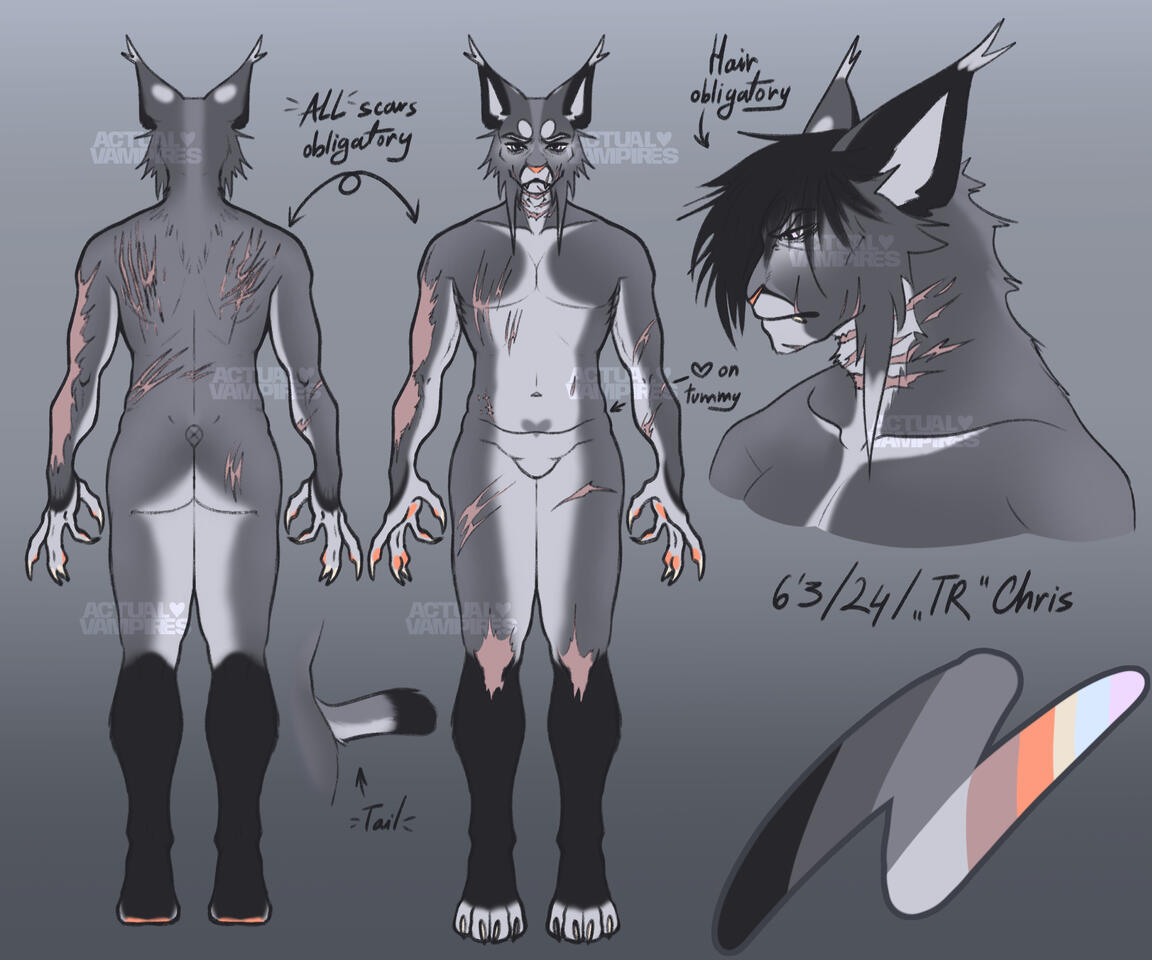 Reference Sheet