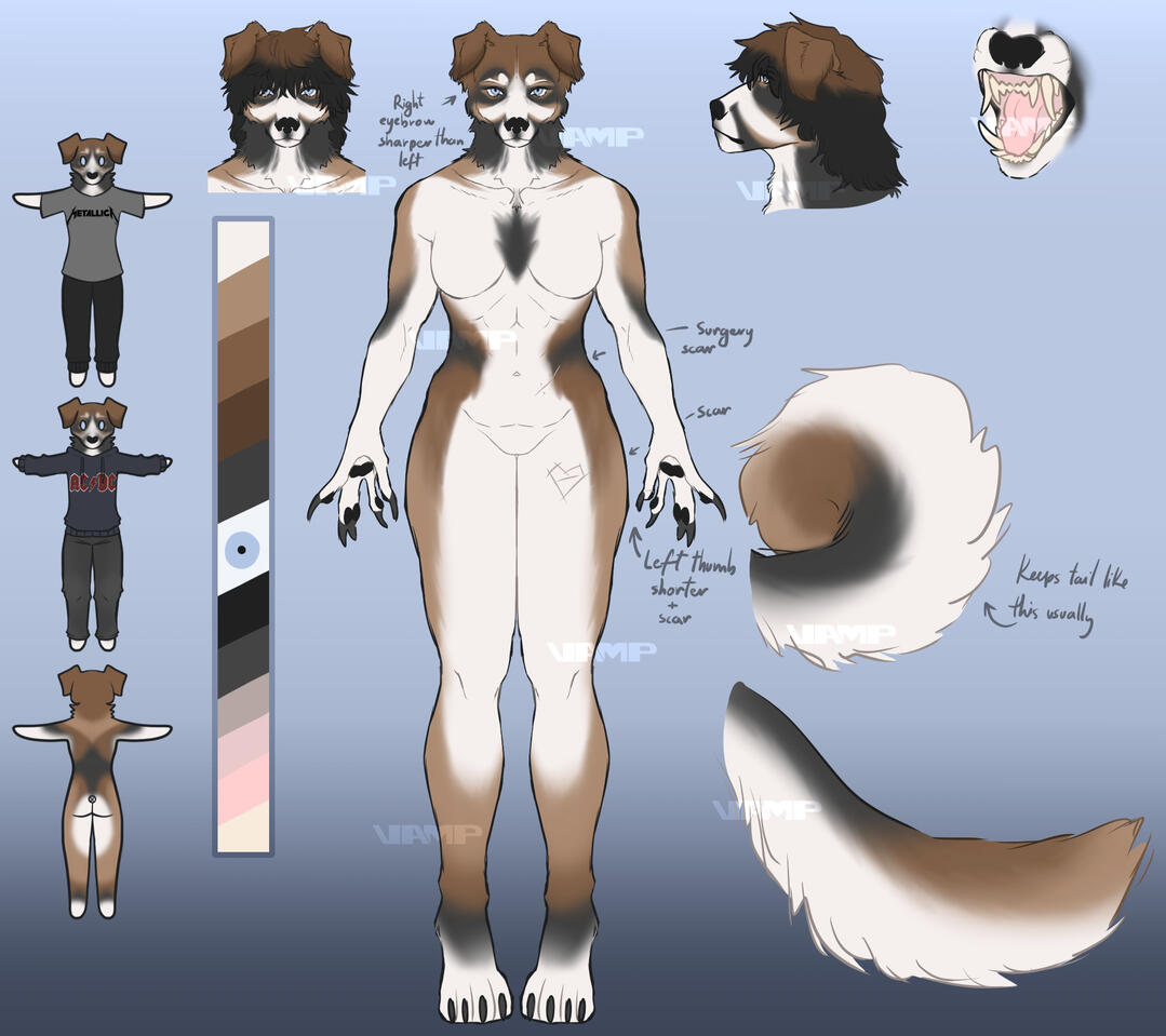 Reference Sheet + Extra Details